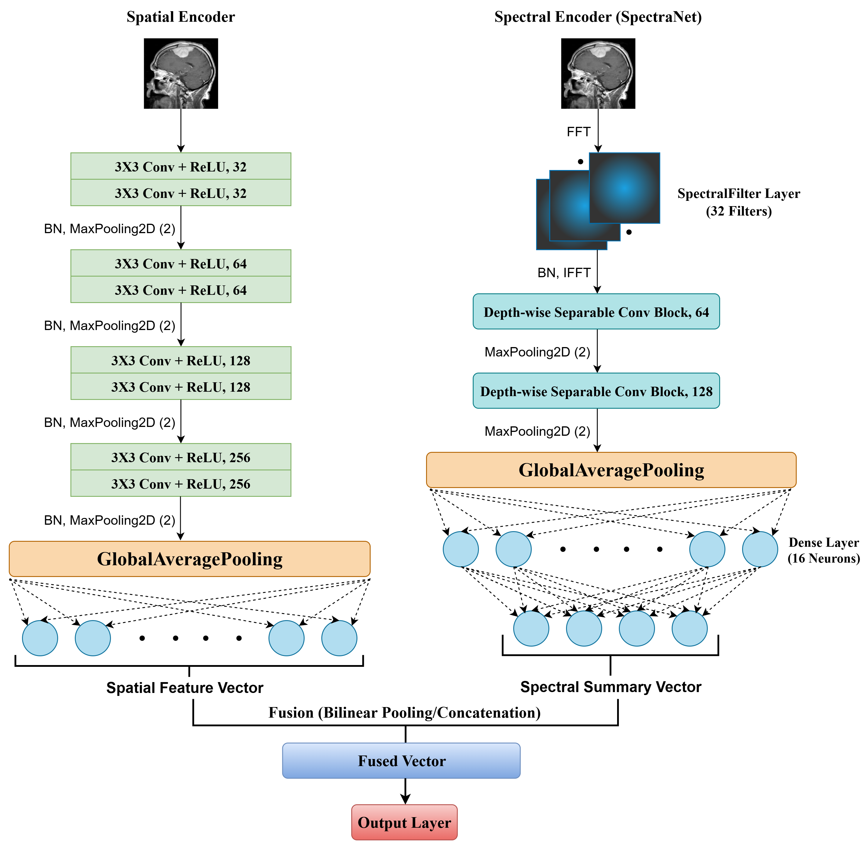 S3F-Net Project Image